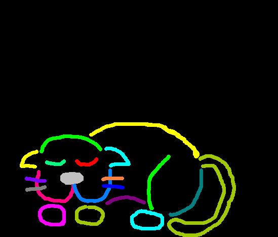 gatocolorido