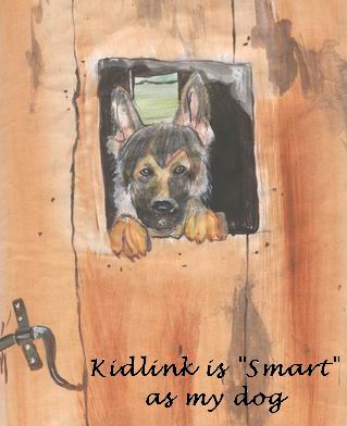 Kidlink is smart